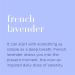 Organic French Lavender Hand Cleansing Wipes - 210 Pack | Biodegradable, Plant-Derived Alcohol with Pure Essential Oils - Buy Online on SooperMarket.com