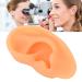 Flexible Waterproof Silicone Ear Model (Right) - Professional Hospital Display - Buy Online on SooperMarket.com