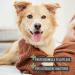Reavet Dog Comb - Premium De-Fuzzer & Fur Care Brush for Long-Haired Dogs | Smooth & Dismantle Knots Easily - Buy Online on SooperMarket.com