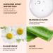 Buy MAKARI Renewal Glow Cleansing Foam - Dermatologist-Recommended Paraben & Sulfate-Free Face Wash with Mandelic Acid Chamomile & Aloe - 150ml/5oz - Buy Online on SooperMarket.com