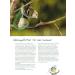 Buy ERDTMANNS 100 Summer Dumplings for Wild Birds | Eco-Friendly Light Food | Perfect Summer Feeding Alternative - Buy Online on SooperMarket.com