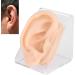 Skin-Friendly Silicone Ear Acupuncture Model for Otolaryngology Centers, Pharmacies, and Hospitals - Buy Online on SooperMarket.com