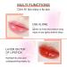Buy Plumping Lip Gloss & Hydrating Lip Glow Oil | Moisturizing Tinted Lip Oil with Aloe Vera - Long-Lasting Non-Sticky Shine - Buy Online on SooperMarket.com