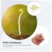 Alipis 100 Pcs Bean Sprouts Toy Small Plant Lifelike Bean Sprout Decoration for Home Faux Plants Delicate Bean Sprout Food Decor Wedding Decor Fruit Toys Pvc Artificial Household Products - Buy Online on SooperMarket.com