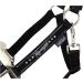 Shop Marengos Halter Set with Lead Rope - Elegant Black or Rose Gold for Ponies | International Shipping Available - Buy Online on SooperMarket.com
