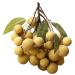 Ciieeo Doll House Diy Toy Fake Longyan Model Kitchen Fruit Longan Model Fruit Photography Props Fake Longan Decor Simulation Fruit Simulation Fake Fruit Faux Fruit Plastic Peach Miniature Khaki 18x18cm