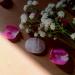 crystalmiracle Rose Quartz Palm Stone Pocket Gemstone Gift Crystal Healing Feng Shui Wellness Love Peace Positive Energy Handcrafted - Buy Online on SooperMarket.com