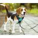POPOT No-Pull Dog Harness - Reflective Pet Vest for Daily Training & Walking - Mint Blue (L) - Buy Online on SooperMarket.com