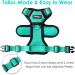 Breakproof Cat Leash Set & Adjustable Soft Kitten Vest with Reflective Stripes - Green Small Cat Dishes for Kittens - Buy Online on SooperMarket.com