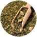 Verde Mate Cactus de Juarez Tea 500g | Yerba Mate Tea from Brazil | Fruit-flavoured yerba mate | Stimulating yerba mate | Unsmoked | Vegan | Gluten free - Buy Online on SooperMarket.com