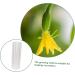 Balacoo 4 Pcs Vegetable Shaping Mold Cucumber Growing Molds Garden Fruit Mold Plastic Hearts Quincunx Suite - Buy Online on SooperMarket.com