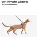 Shop Pidan Cat Dishes & Leash - Adjustable Travel-Friendly Bite-Proof Pet-Safe Dish for Cats | Gray | Fits All Sizes - Buy Online on SooperMarket.com