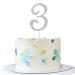 ENSTAB 0-9 Cake Decoration Silver Rhinestones Happy Birthday Cake Topper Anniversary Cake Decoration (3) SHINY-10 Silver-3