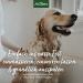 AniForte Fellharmonie Dog Shampoo Sensitive with Aloe Vera 200ml - Gentle Care for Sensitive Dogs Easy-Combing Fur Dye & Perfume-Free - Buy Online on SooperMarket.com