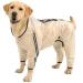 Olsa Dog Raincoat, Dog Hooded Slicker Poncho, 4 Legs Dog Rain Jacket with Reflective Stripe, Transparent Water Proof Resistant Dog Rain Snow Clothes for Small Medium Large Dogs