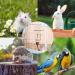 FZLANQ 1 PCS Rabbit Water Bottle Portable Guinea pig water bottle Water Bottle Feeder Hamster water bottle Hanging Water Drinking Feeder Dispenser for Guinea Pig Rabbit Chinchilla Bird Cat - Buy Online on SooperMarket.com