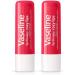 Vaseline Lip Therapy Stick Gift Set - Original, Rosy Lips, Aloe (6 Count) - Buy Online on SooperMarket.com