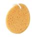 Angoily 5pcs Loofah Sponge Bath Sponge for Men Body Sponge Shower Exfoliating Loofah Shower Sponge Natural Bath Sponge Natural Sponge Shower Loofah Shower Ball Miss Household Bath Wipe 1 Count (Pack of 1)