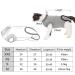 BT Bear Pet Surgery Recovery Suits Cats Clothes Abdominal Wounds Skin Diseases E-Collar Alternative Cotton Cat Shirt for Cats Puppy Small Dogs (XXS-Back length 25cm) XXS--Back length 25cm Chest--27cm - Buy Online on SooperMarket.com