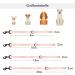 Pink 15m Tag Trag Leash for Dogs - Waterproof Drag Line with Handle & D-Ring | Perfect for Small & Medium Breeds - Easy to Clean Training Leash - Buy Online on SooperMarket.com