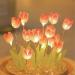Tulip Ambient Light Compact Desktop Ornament Low Consumption Warm Soft Glow for Living Room - Buy Online on SooperMarket.com