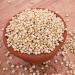 Seelans Fudco Whole Juwar | 500G | Sorghum Whole | Whole Sorghum Millet | Whole Grains | High Protein | Cholam | Millet Grains | Indian Origin | Each 500g | Pack Of 2 - Buy Online on SooperMarket.com