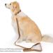 YUDOTE Ultra-Soft Natural Cotton Dog Collar for Small Dogs with Sensitive Skin - Brown (S) | 1 Pack - Buy Online on SooperMarket.com