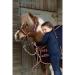Cameo Equine Quality Padded Headcollar & Strong Leadrope - Comfortable & Stylish Rainbow Pony - Buy Online on SooperMarket.com