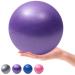 9 Inch Exercise Pilates Mini Yoga Balls Barre Small Bender for Home Stability Squishy Training Physical Therapy Improves Balance with Inflatable Straw Purple 9 Inch