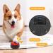 DHQKQG Dog Training Buzzer Set 4 Interactive Recording Buttons for Potty Communication & Cleanliness Training | International Shipping Available - Buy Online on SooperMarket.com