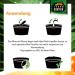 Buy Terra Exotica Sphagnum Moss (3x1 Kg) - Premium Peat Moss for Garden Houseplants & Terrariums - International Shipping Available - Buy Online on SooperMarket.com