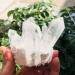 350g-900g Natural Clear Quartz Stone White Crystal Cluster 1pc HOMEZHOU (Color : 1pc 510g-560g) - Buy Online on SooperMarket.com