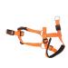 Dog handlebars dog handlebars with a seat belt pet halter prevents pets from pulling outdoors when walking out (orange) XL Orange