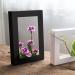 Floral Arranging Vase Set: Black Rectangle Photo Frame Shaped Plastic Ikebana Vases with Flower Frog - Ideal for Ikebana Floral Art Home Decor - Buy Online on SooperMarket.com
