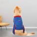 BT Bear Dog Surgery Recovery Suits Soft Elastic Cotton Pet Cat Recovery Jackets Vest After Surgery Clothing After Surgery Wear Anti Licking Wounds (XX-Large) - Buy Online on SooperMarket.com