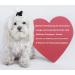 Canimove Doppelpack (200 Capsules) - Veterinary-Approved Support for Heart Function in Large Dog Breeds - Buy Online on SooperMarket.com