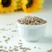 Buy 3kg Sunflower Seeds for Wild Birds - Premium Peeled Bird Feed in Bucket - Buy Online on SooperMarket.com