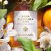 GUERLAIN Aqua Allegoria Harvest Mandarine Basilic Eau De Toilette Spray for Women 4.2 Ounce - Buy Online on SooperMarket.com