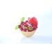 CROC'IN - Sweet Premium Tartlet Shells - Edible Mini Pastry Cases For Dessert - Artisanal Confection - 240 Pieces Box - Ideal For Catering Or Restaurants - Buy Online on SooperMarket.com
