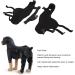 Pet Knee Joint Wrap Reflective Soft Material Inflammation Reduction Stable Dog Hind Leg Support Brace for Knee Dislocation L - Buy Online on SooperMarket.com