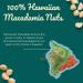 Hamakua Macadamia Nuts - Large Hawaiian Grown Dry Roasted Macadamias (1.25 lb) - Natural Eco-Friendly Baking Nuts - Pack of 1 - Buy Online on SooperMarket.com