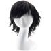 Gairyan Short Black Wig Cosplay Wig Unisex Anime Cosplay Wigs for Women/Men Straight Fluffy Wig Costume Theme Party Fancy Dress Wigs Halloween Wig Comic-Con Costumes Accessories - Buy Online on SooperMarket.com