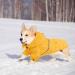 FUAMEY Dog Rain Coat | Lightweight Waterproof Rain Jacket with Transparent Brim | Reflective Dog Rain Poncho | Leash Hole | Yellow Slicker Raincoat for Small Medium Dogs Cats | Large Breed (14-23lb) - Buy Online on SooperMarket.com
