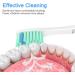 Senyum Replacement Heads for Philips Sonicare E-Series Toothbrush - 4 Pack - Buy Online on SooperMarket.com