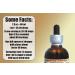 Organic Beet Root Alcohol-Free Liquid Extract - 2 oz Glycerite Formula - HawaiiPharm - Buy Online on SooperMarket.com