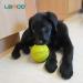 Laroo Durable Natural Rubber Dog Ball | Squeaker Toy for Small & Large Dogs | 9cm Green Dog Football - Buy Online on SooperMarket.com