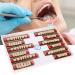 Buy Complete Resin Dentures | High-Quality Artificial Teeth & Dental Supplies for International Shipping - Buy Online on SooperMarket.com