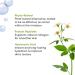 BareMinerals Ageless Phyto-Retinol Eye Cream Fair 15 Cool 8.0g - Anti-Aging Skincare - Buy Online on SooperMarket.com