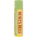 Burt's Bees 100% Natural Moisturizing Lip Balm Cucumber Mint - 2 Tubes - Buy Online on SooperMarket.com