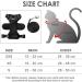 Breakproof Cat Leash Set & Adjustable Soft Kitten Vest - Reflective Stripes Black XS - Perfect for Small Kittens - Buy Online on SooperMarket.com